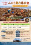 六ヶ所村泊海岸　ふのり採り体験会開催のお知らせ