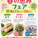 ☆ 春のごちそう＆彩りフェア開催！☆